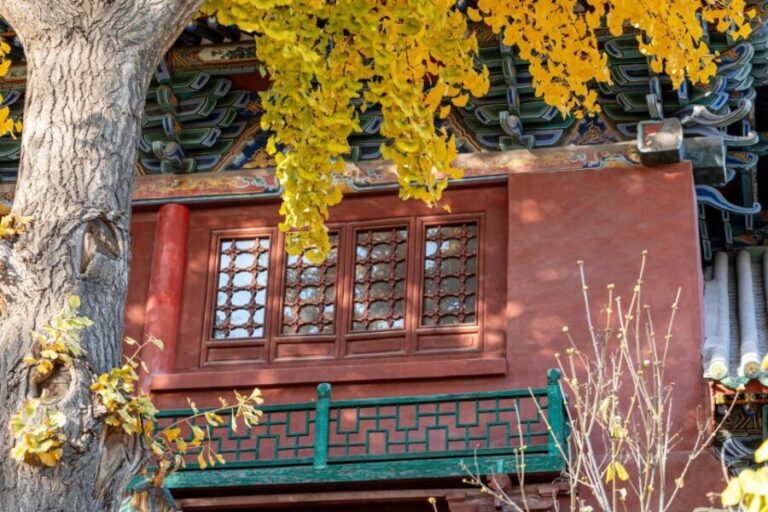 Beijings Hidden Delights: Dong Si Hutong Food Tour - FAQs