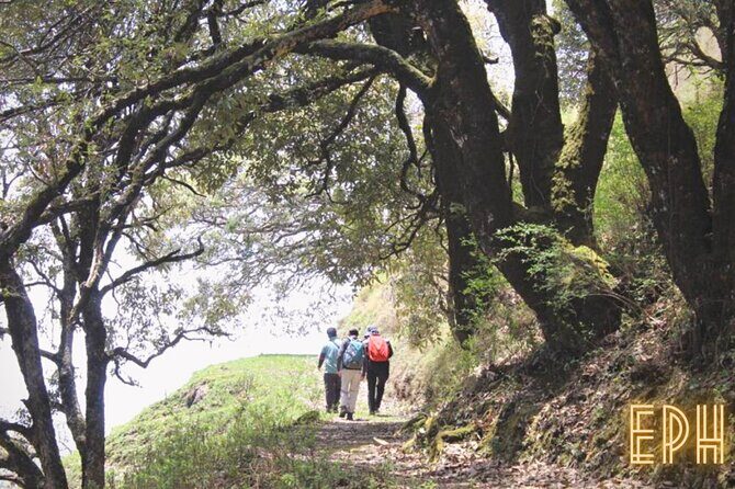 Benog Tibba Day Hike - Mussoorie - Who Will Love This Experience?