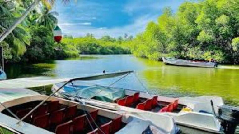 Bentota Private Village Tour All-Inclusive - Who Will Love This Tour?