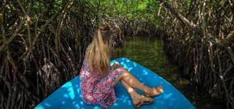 Bentota: River Safari with Hotel Pickup and Drop-Off - Authentic Encounters and Authenticity