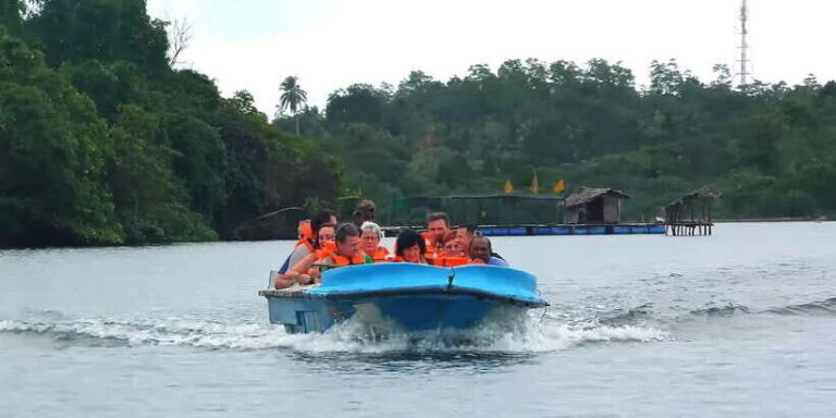 Bentota: swampboat Ride Through Mangrove Forest - What to Expect on the Tour