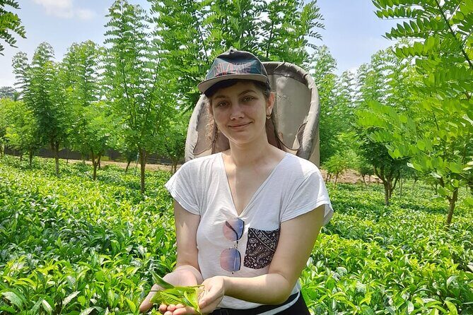 Bentota Village Tour with River Safari & Tea Plantation/Factory - All Inclusive - The Itinerary: What to Expect