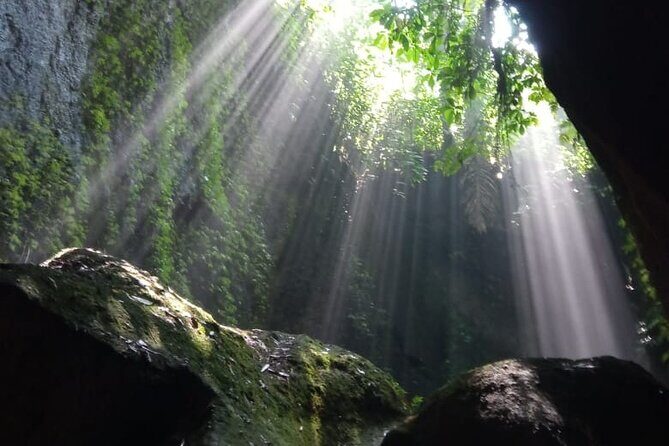 Besakih Mother Temple Tukad Cepung East Bali Private Guided Tour - What Our Reviewers Say