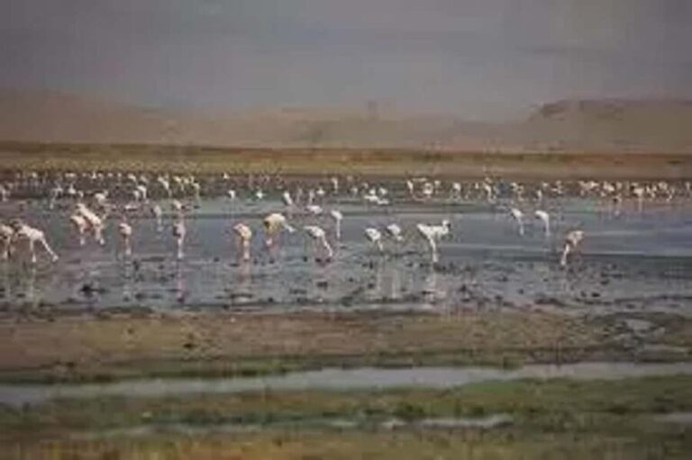 #Best 2-Day Lake Natron With OI Doinyo Lengai Hiking Tour - Who This Tour Is Best For
