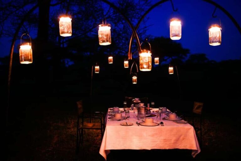 Best 3-Day Christmas Eve Safari to Tarangire and Serengeti - Who Will Love This Safari?