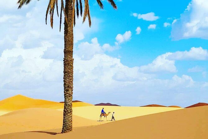 Best Casablanca Desert Trips - Authenticity and Value