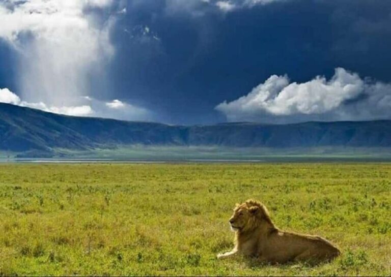Best Day tour to Ngorongoro Crater-ISMANI TOURS AND SAFARIS - Who Is This Tour Best For?