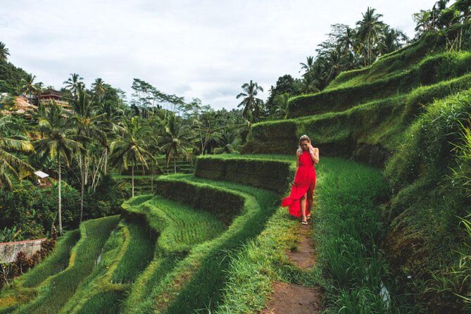 Best Day Trip in Bali - Why This Tour Offers Good Value