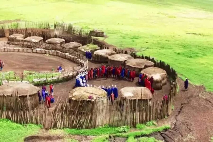 Best Day Trip to Maasai Village & Chemka Hot Springs - Pricing & Value