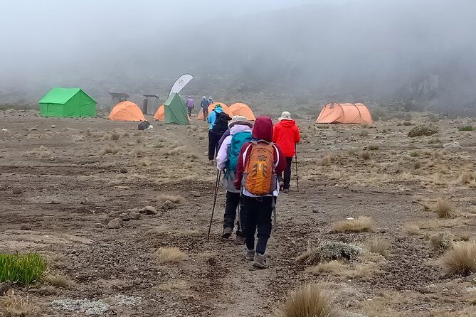 Best Kilimanjaro Adventure 7 days Machame route Trekking - Detailed Itinerary Breakdown