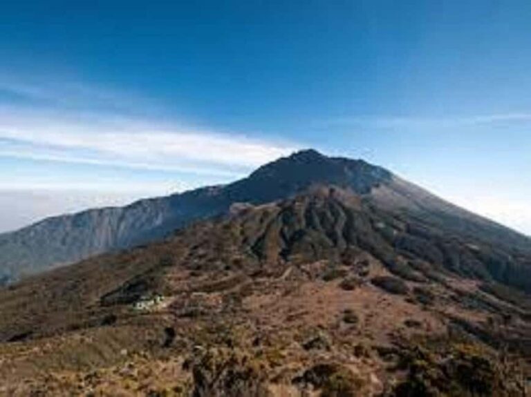 Best Kilimanjaro Day Hike With Car Shira Plateau experience - What’s Included and What Costs Extra