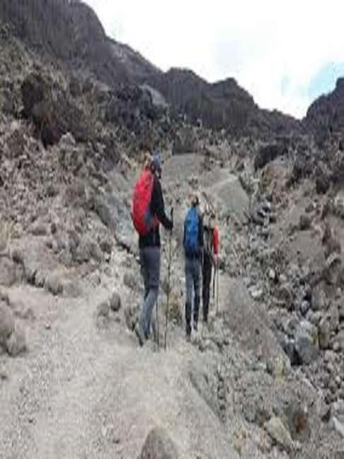 Best Kilimanjaro Hike- 1 Day Rongai Route - Why This Tour Works