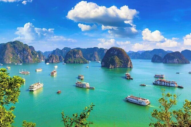 Best love - Full Day Boat Tour to Lan Ha Bay and Ha Long Bay - The Value of This Tour