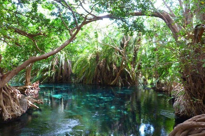 Best Materuni waterfall and chemka hotspring day Tour Experience - What Makes This Tour Stand Out?