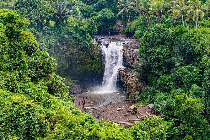 Best of Bali Tour - All Inclusive - What to Expect at Each Stop