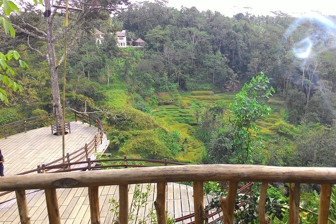 Best of Bali : Ubud, Rice terrace, Tanah lot temple with Lunch - Value for Money