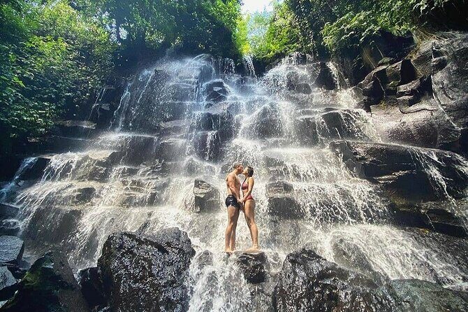Best of Bali - Ubud Tour All-Inclusive Private Tour - What’s Included and What’s Not