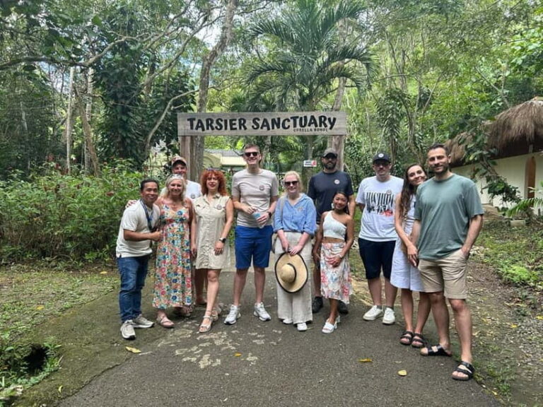 BEST OF BOHOL: Chocolate Hills & Tarsier w Lunch at Loboc - Transportation and Logistics: What to Expect