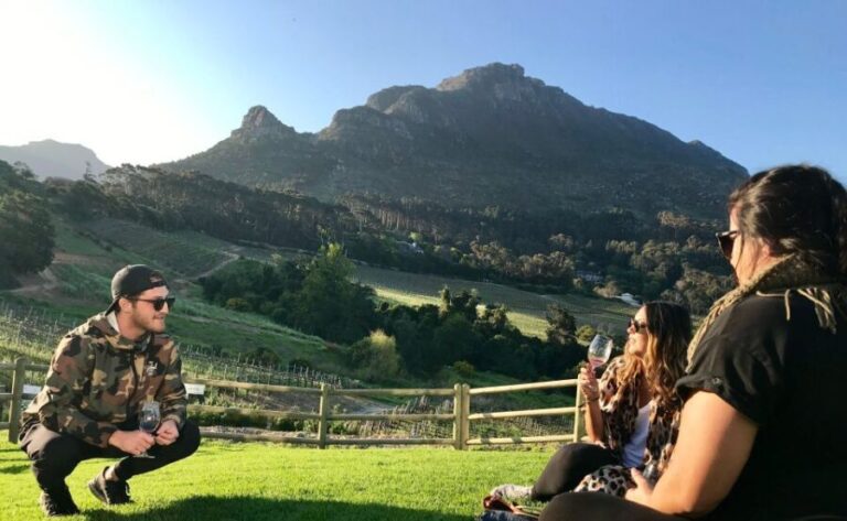 Best of Cape Town In A Day (Cape Point, Penguins and more) - The Value of This Tour: Breaking Down the Cost