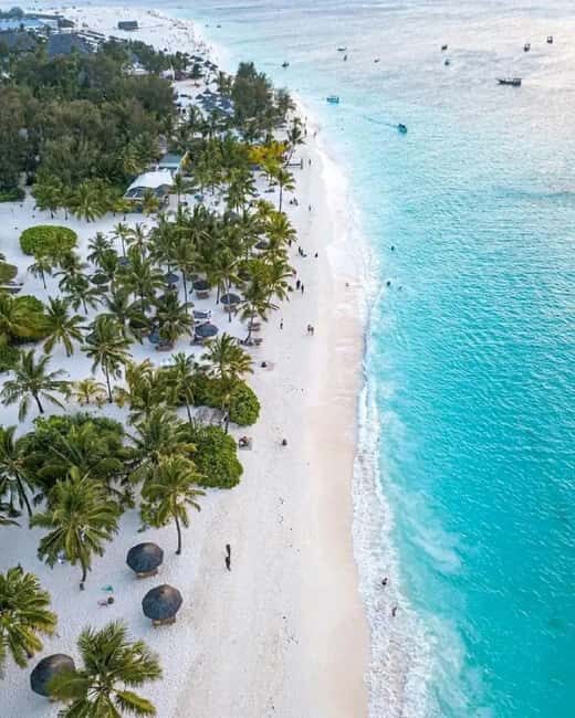 Best of Honeymoon in Zanzibar:From Stone Town to Kizimkazi - The Fascinating Visit to Prison Island