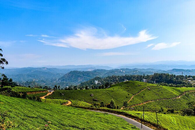 Best of Kerala Tour (Exclusive Private tour) - What Travelers Are Saying
