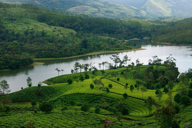 Best of Kerala Tour Package 7 nights / 8 days by Sanguine Holidays - Frequently Asked Questions