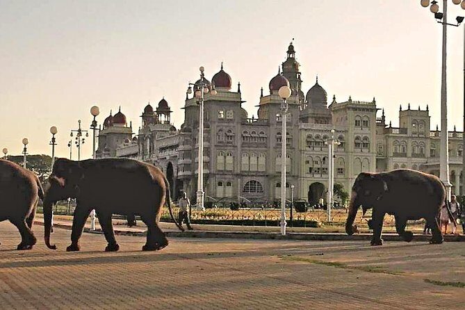 Best of Mysore/Mysuru, Somnathpur & Srirangapatna in a Day - Practical Details and What They Mean for You