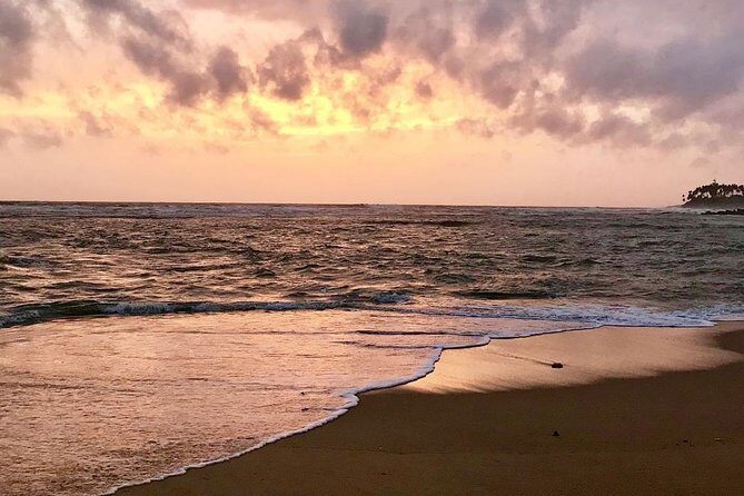 Best Of Sri lanka Tour (06 Days 05 Nights) - Kandy- N.Eliya -Bentota-Colombo - The Experience: What Makes It Stand Out