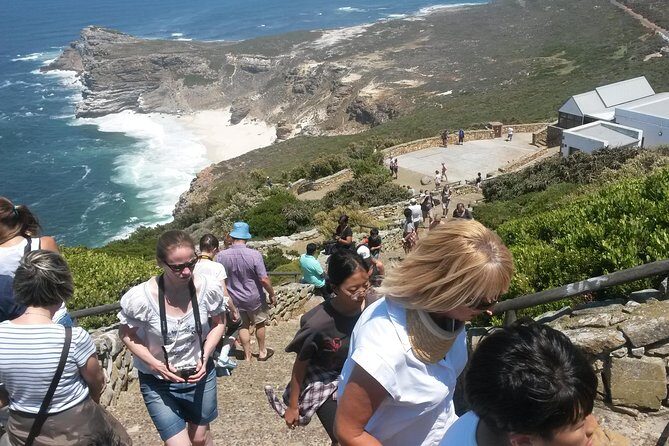 Best of the Cape (Cape Point & Winelands) - Analyzing the Value