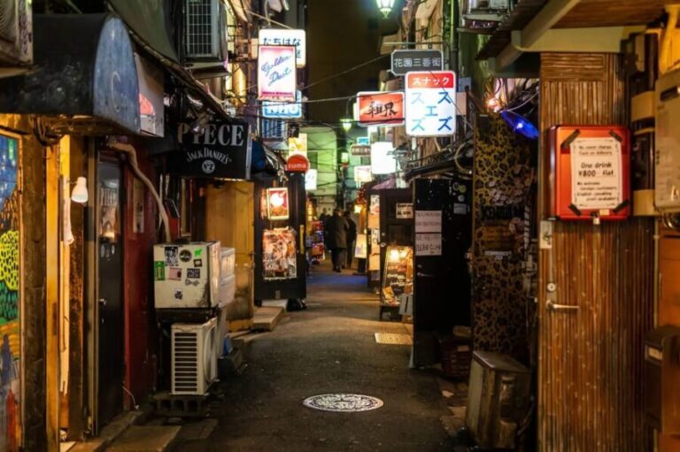BEST OF TOKYO HIGHLIGHTS - WALKING TOUR PART 2 - Detailed Tour Breakdown