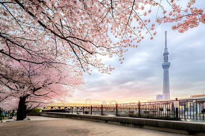 Best of Tokyo Private Tour English Driver &Customizable Itinerary - The Itinerary: What to Expect