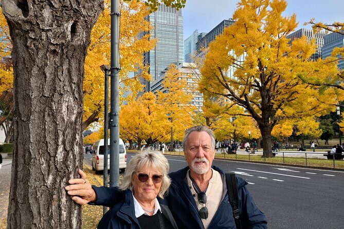 Best of Tokyo Private Tour for Yokohama Cruise Passengers - What to Expect in Terms of Transportation and Logistics