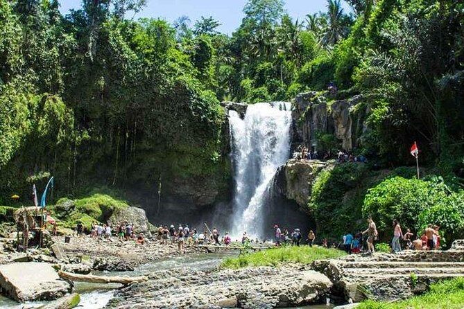 Best of Ubud Private Day Tour - The Practical Aspects
