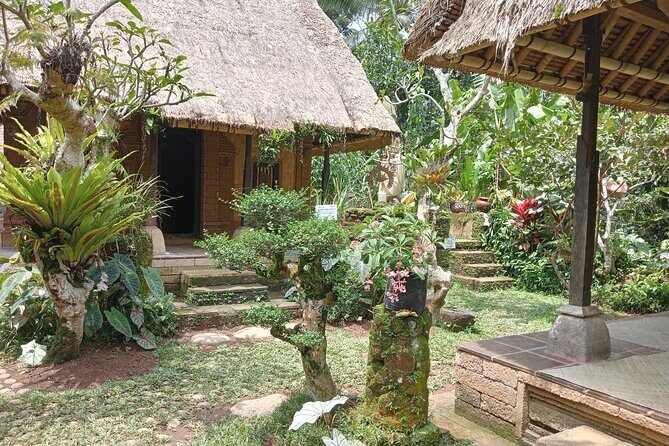 Best of Ubud Scenic Tamansari Waterfall Private Guided Tour - Who Should Consider This Tour?