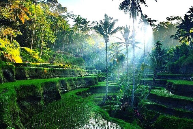 Best of Ubud - Ubud Tour Popular - All Inclusive - The Sum Up: A smart choice for an authentic Ubud experience