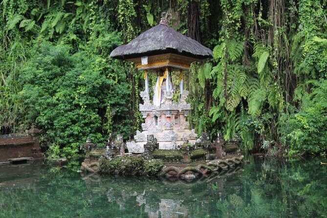Best of Ubud with Jungle Swing Experience - How This Tour Delivers Value