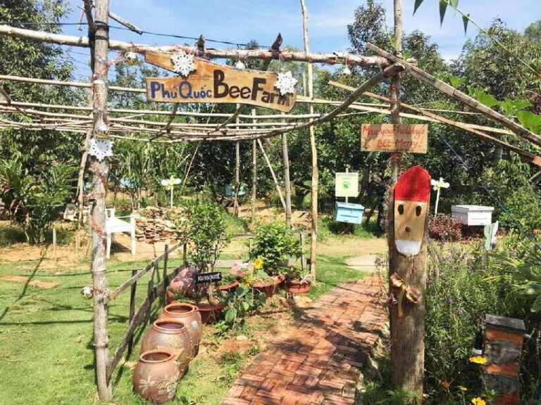 Best Seller Northern Phu Quoc & Kayak Aventure with lunch - What Makes This Tour Stand Out?
