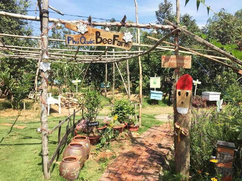Best Seller Northern Phu Quoc & Kayak Aventure with lunch - What Makes This Tour Stand Out?