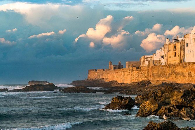 Best shared day trip to Essaouira from Marrakech - Who Should Consider This Tour?