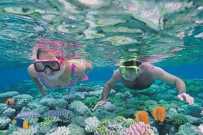 Best Snorkeling Lombok: Gili Nanggu, Gili Kedis & Gili Sudak Day-Trip - Real Traveler Feedback