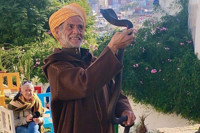 Best Tangier Day Trip from Tarifa, Spain - Analyzing the Value