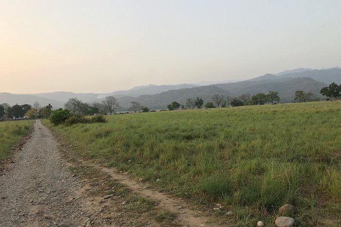 Best Wilderness Experience through Jim Corbett Experience - Evening and Night: The Jungle Comes Alive
