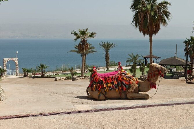 Bethlehem & The Dead Sea Full Day Tour from Jerusalem/TLV - Authenticity and Value