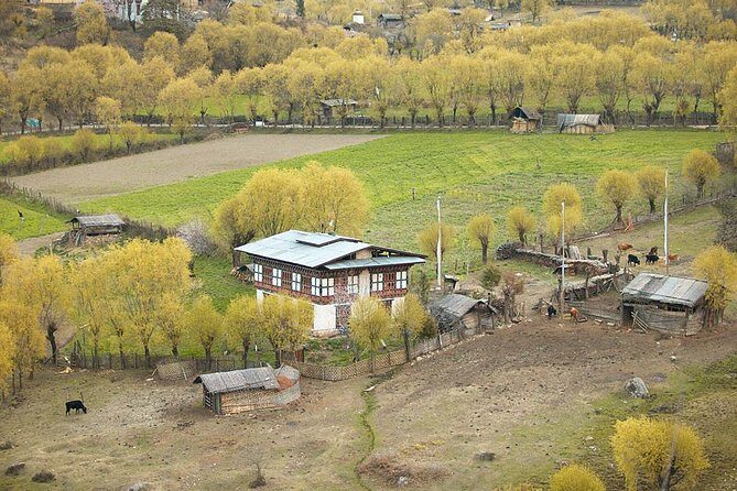 Bhutan Family Vacation With Cultural Tour - The True Value of This Tour