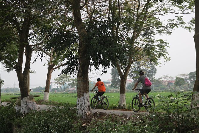 Bicycle Tour Full Day Explore Red River Delta & Rural Villages - The Experience and Its Value