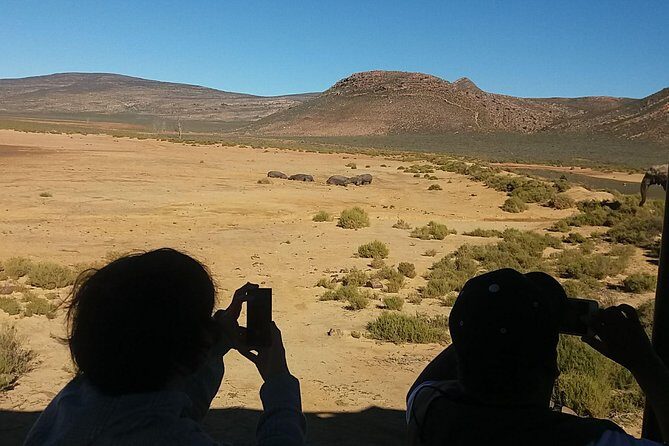 Big 5 Full Day Safari Aquila Lunch plus Breakfast From Cape Town - What Makes This Tour Stand Out