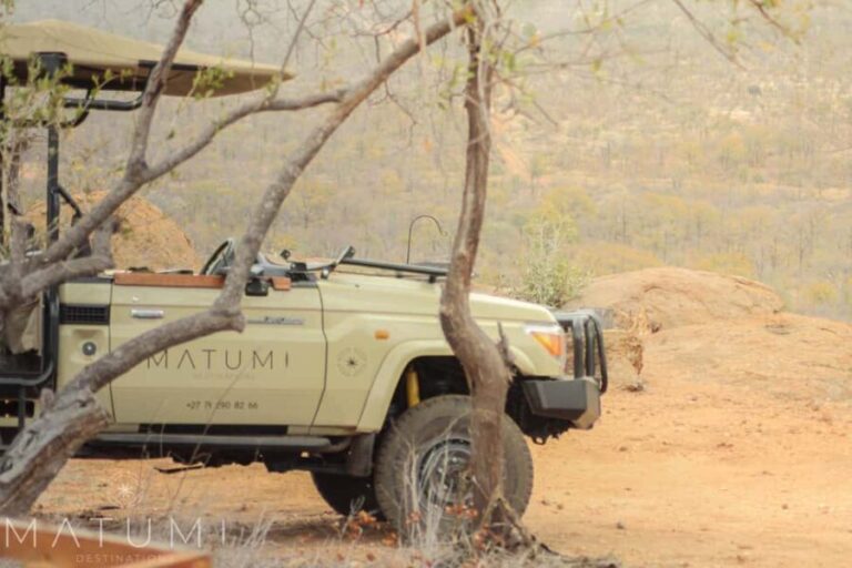 Big 5 Safari Am or Pm - Exploring the Safari Experience in Detail