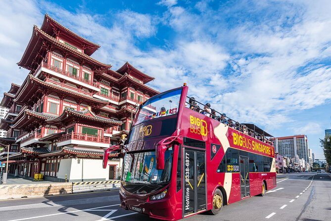 Big Bus Singapore Hop-On Hop-Off Tour - Authentic Traveler Insights