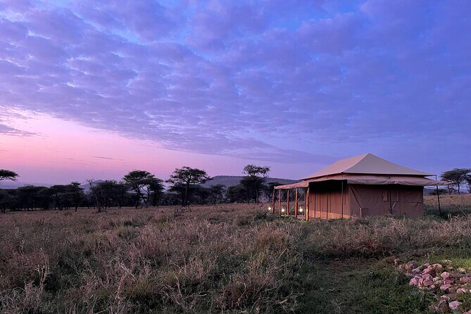Big Five Dream Safari - The Itinerary in Detail