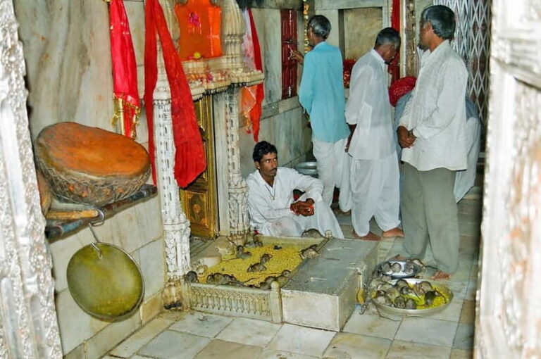 Bikaner to Jaisalmer: Junagarh Fort & Rat Temple Tour - What Travelers Say